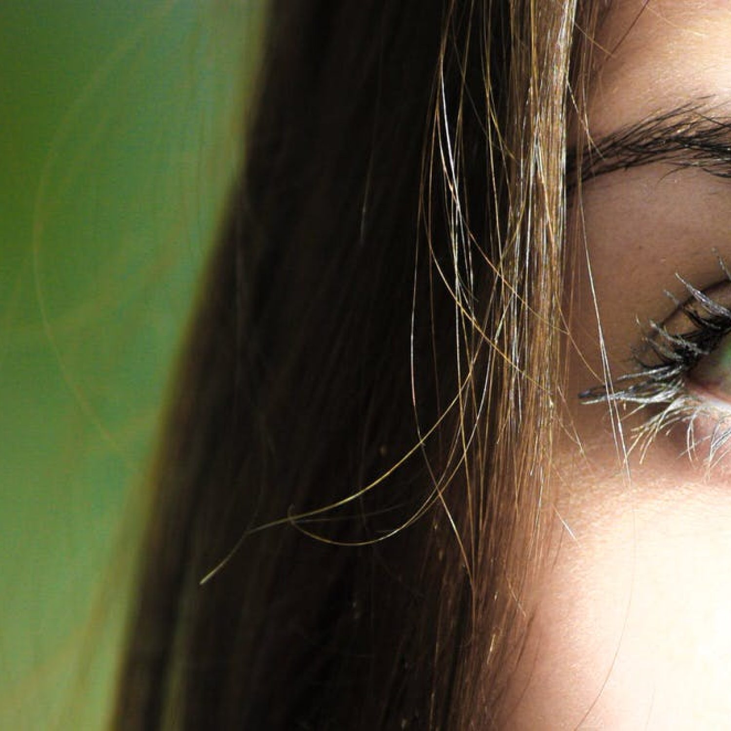 sourcil